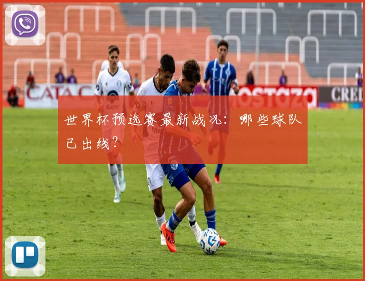 世界杯预选赛最新战况：哪些球队已出线？